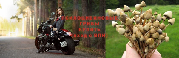 а пвп мука Алзамай