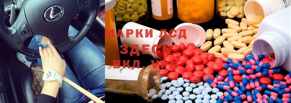 ГАЛЛЮЦИНОГЕННЫЕ ГРИБЫ Алексеевка